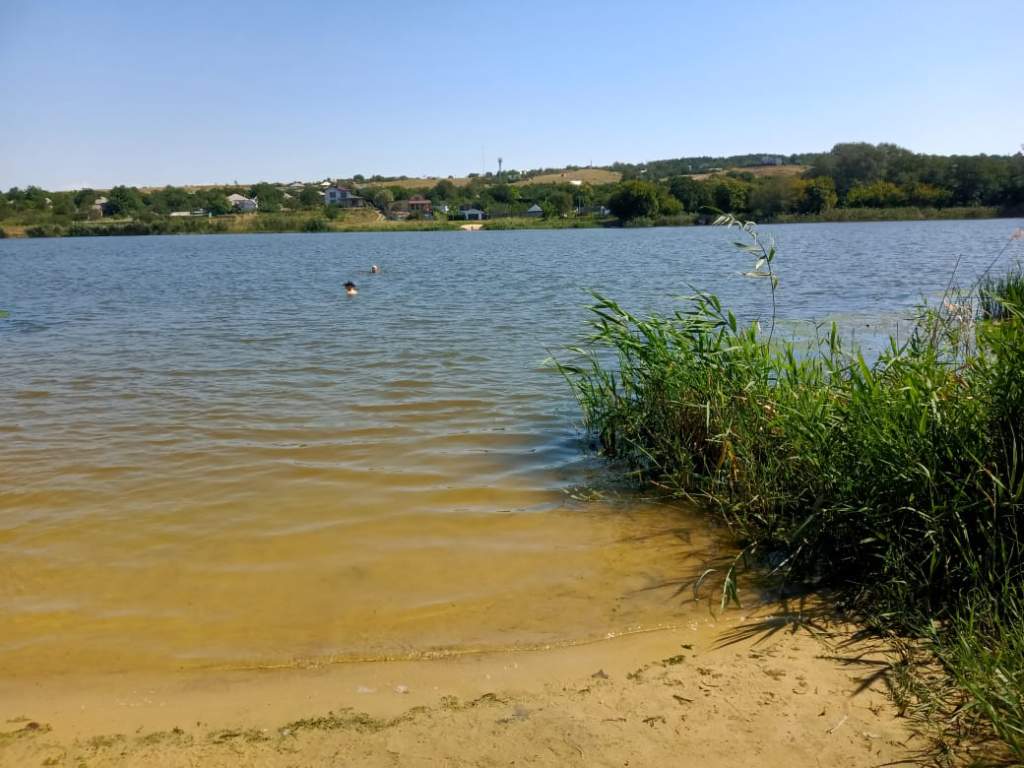 Вода в реке Северский Донец признана опасной для здоровья - Газета 